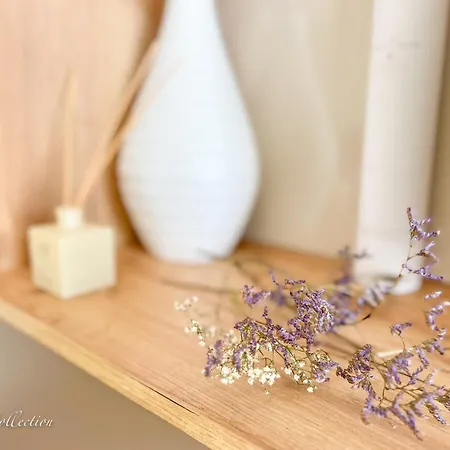 Incredible Luxury With Garage And Tram Station 公寓 布拉格