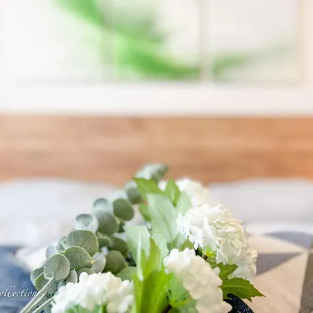 Incredible Luxury With Garage And Tram Station 布拉格