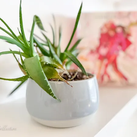 Incredible Luxury With Garage And Tram Station